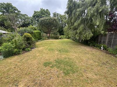 Picture 27